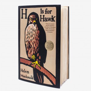 HisforHawk_MG_7121