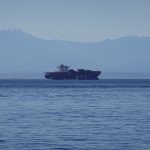 I love cargo ships - seeing this one off Ogden Point was good luck. 
