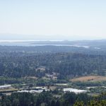 The view from the summit of Mount Doug.